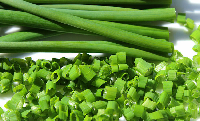 Image of chives finely diced, with chive shoots in the background