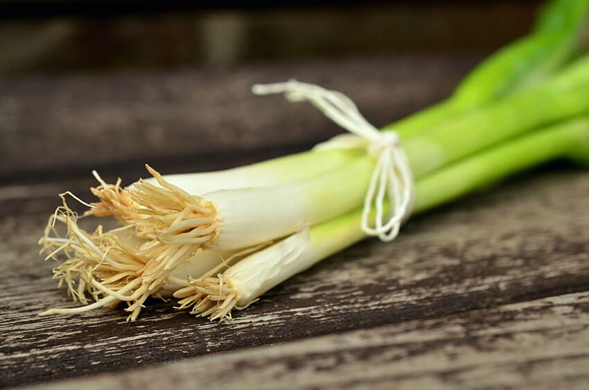 The Difference Between Chives Scallions And Green Onions Escoffier Online,White Asparagus Growing