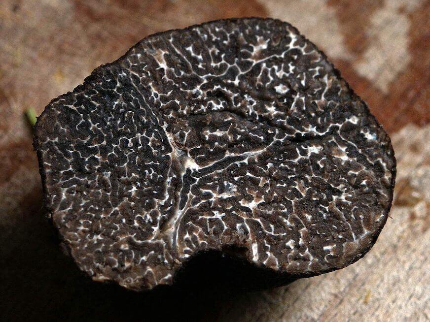 Black truffle cut in half