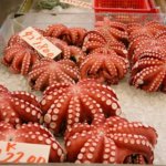 live octopus is considered a great delicacy in many regions of the world 1107 518386 1 14052935 500