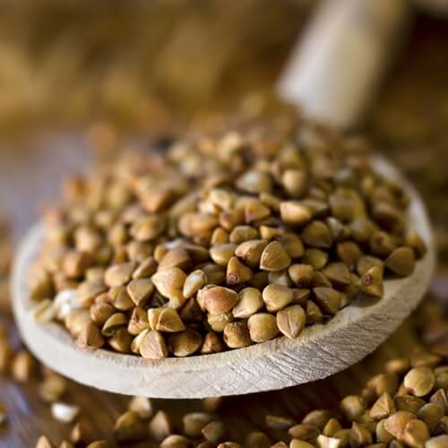 wheat and similar grains are common features in african cuisine 1107 522516 1 14076249 500