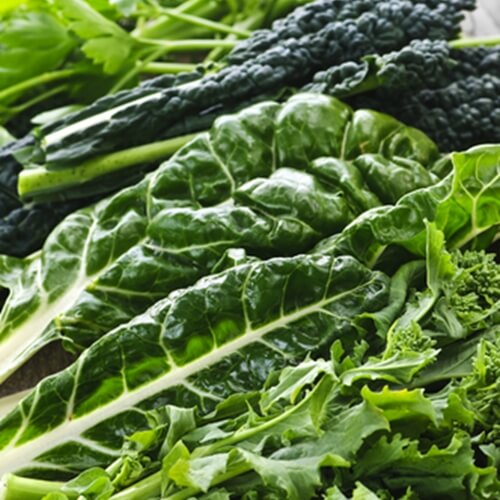 leafy greens are the most popular produce item of 2013 and will continue 1107 574663 1 14095610 500