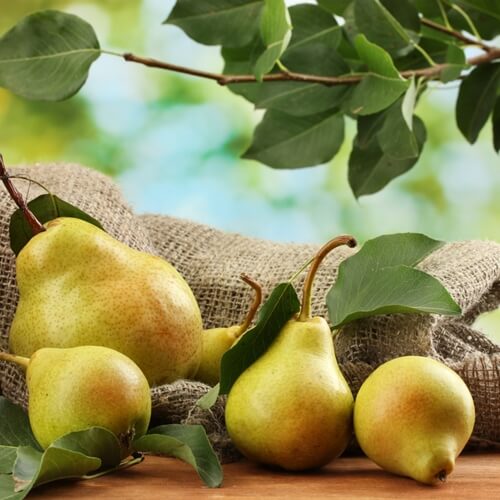 use pears in both sweet and savory dishes  1107 564622 1 14098055 500