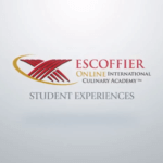student experience