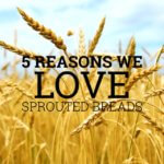 sprouted bread