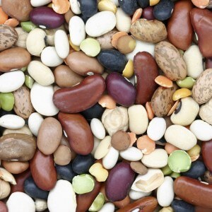 beans-300×300