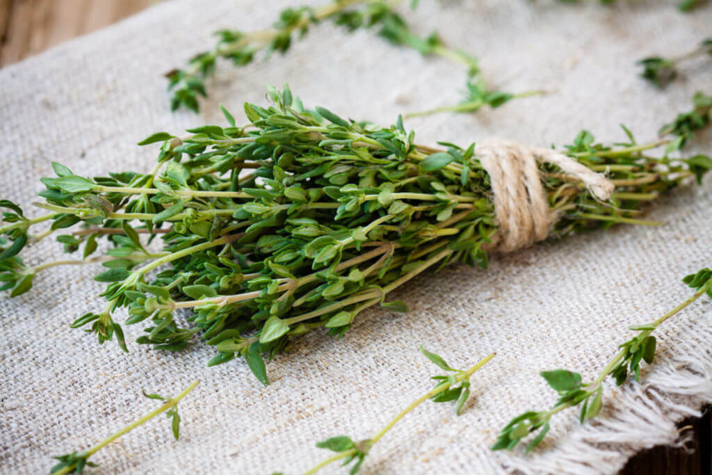 bundle of fresh thyme on sackcloth