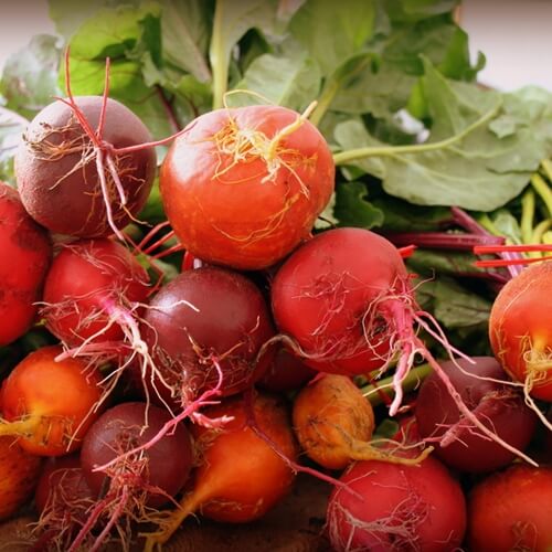 You can use the roots and greens of beets in your cooking.