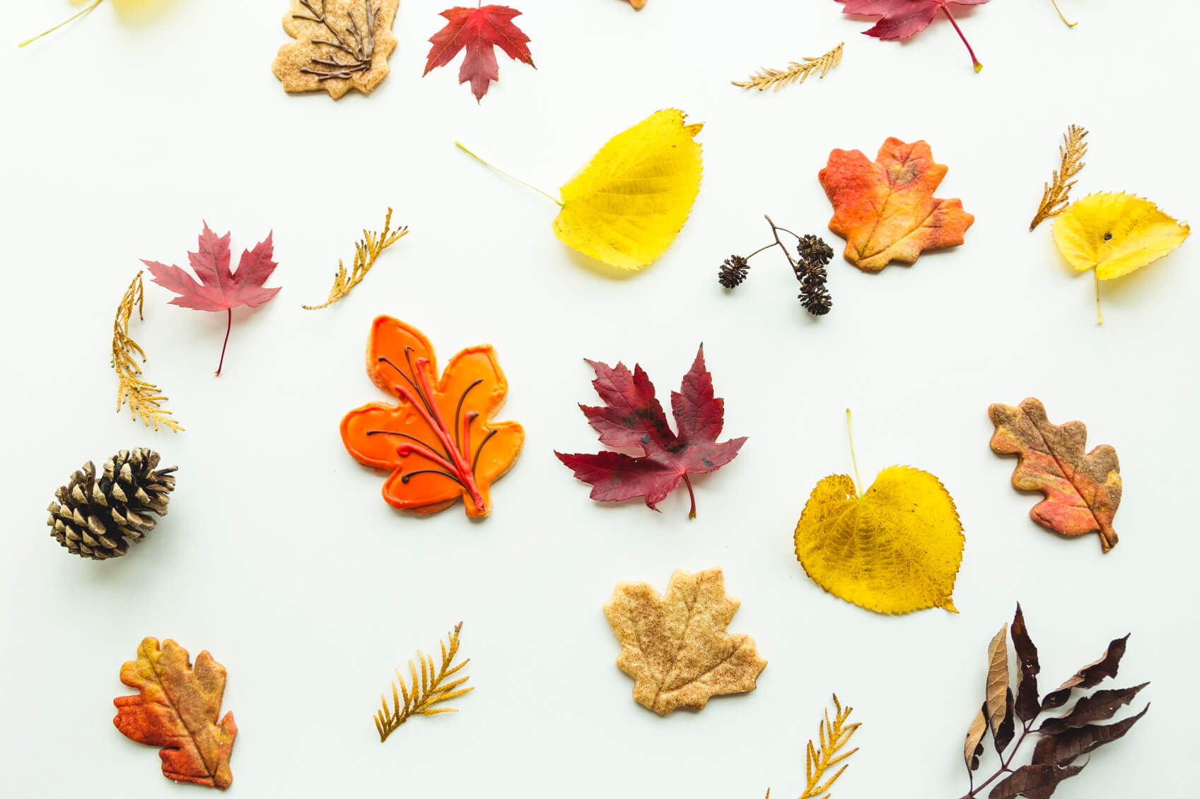 Let your creativity run wild with the autumn inspiration.