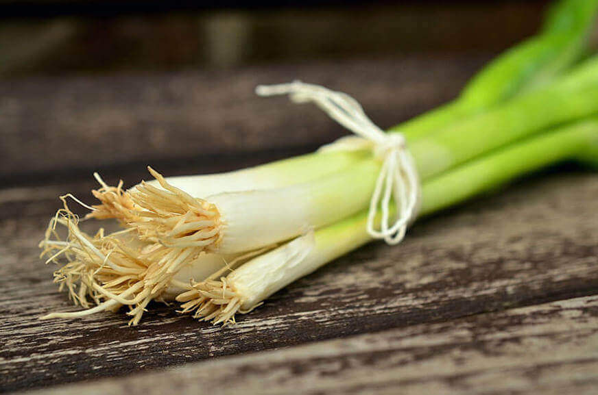 Image of scallions tied with string on a chopping block