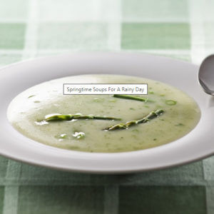 Cream of Asparagus Soup in White Bowl