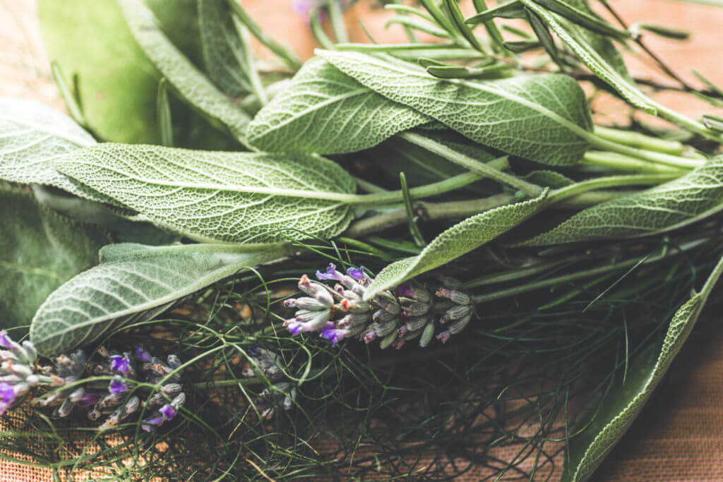 Provence Herbs and a rustic bouquet with salvia, lavender, dill, rosemary