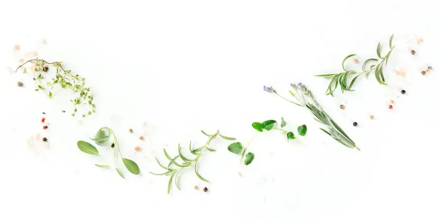 Herbs and peppercorns arranged in a curved garland on a white background, featuring sage, rosemary, and thyme.