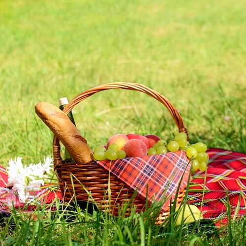 a picnic is the perfect way to dine on a summer afternoon  1107 630424 1 14101915 500