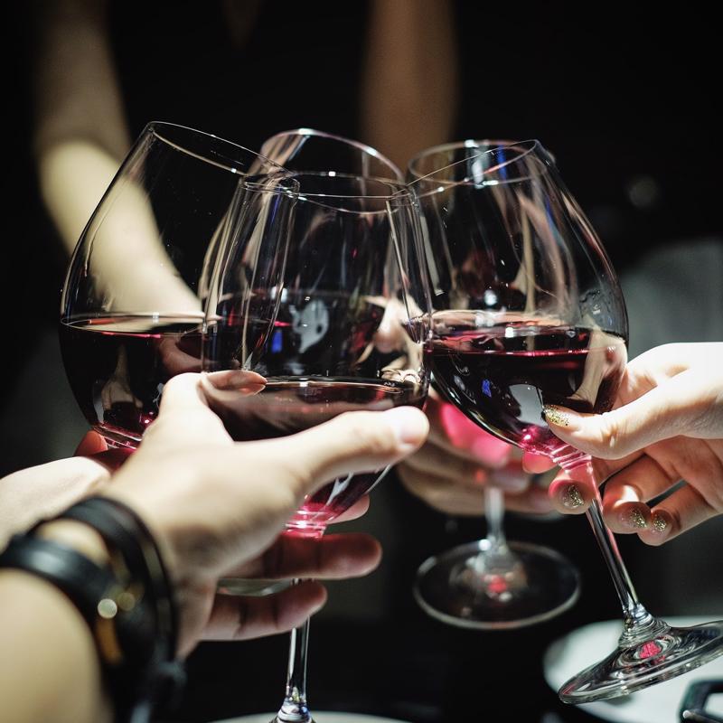 Group of people toasting with wine.