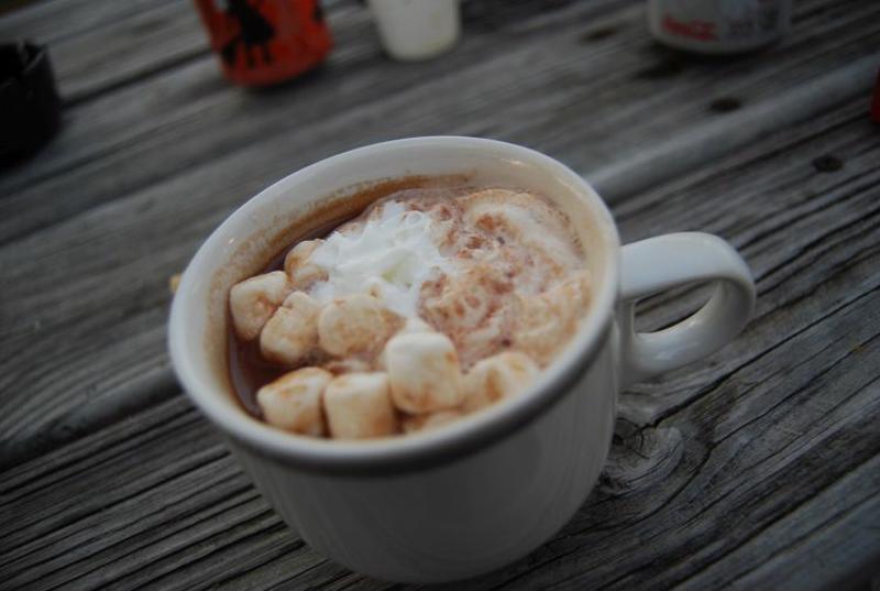 Mug of cocoa with miniature marshmallows.