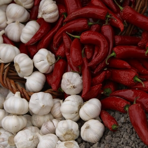 Chilies and garlic are two of the key ingredients in harissa.