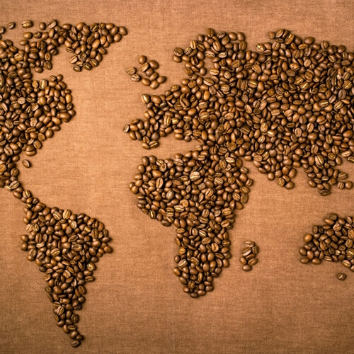 Coffee may no longer be sustainable by 2080.