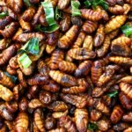 Despite perceptions, chefs everywhere tout insects for their protein and overall versatility.