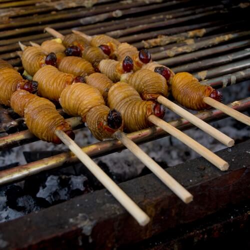 larvae make a great shish kebab  1107 610154 1 14102553 500