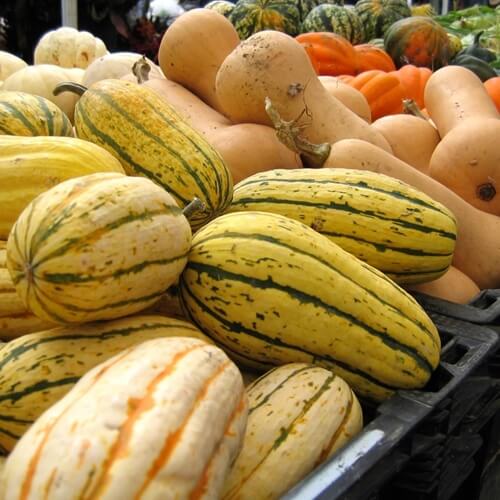 Squash is a great food for the fall.