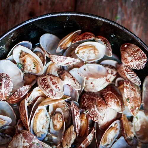 The key to shucking seafood is a good knife and a steady hand.