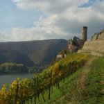 the majority of german wines are produced on the rhine river 1107 614293 1 14102899 500