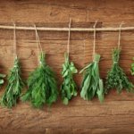 Use our tips to grow herbs indoors.