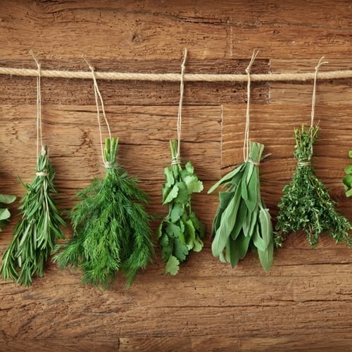 Tips For Growing An Indoor Herb Garden