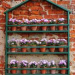 Vertical gardens allow you to grow whatever you like even in small spaces.