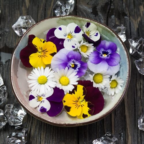 Visit our guide to selecting and preparing edible flowers.